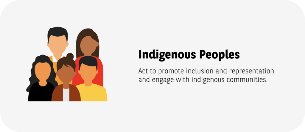 Indigenous Peoples: Act to promote inclusion and representation & engage with Indigenous communities.